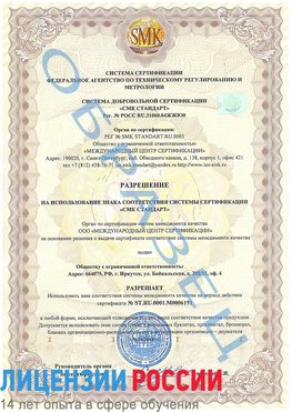 Образец разрешение Бутурлиновка Сертификат ISO 50001
